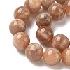 Round Natural Multi-Moonstone Beads Strands LS-G-I176-09-10mm-02-3