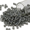 TOHO 6/0 Round Beads X-SEED-TR06-1150-1