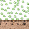 Baking Paint Pearlized Glass Seed Beads SEED-T007-21A-13-4