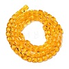 Transparent Glass Beads Strands GLAA-L050-A09-2