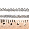 Natural Labradorite Beads Strands G-L642-F07-4mm-5