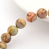 Natural Crazy Lace Agate Round Bead Strands G-M272-03-10mm-1