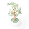 Natural Green Aventurine Chips with Brass Wrapped Wire Money Tree on Ceramic Vase Display Decorations DJEW-B007-02A-3