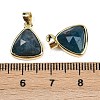 Natural Apatite Pendants X-G-O176L-10G-3