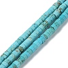 Natural Howlite Beads Strands X-G-E604-A02-B-1
