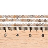 Natural Black Moonstone Beads Strands G-B175-D03-2mm-5