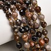 Natural Petrified Wood Beads Strands GG-CBA4A3B-A08-1