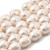 Natural Cultured Freshwater Pearl Beads Strands PEAR-I007-01I-02A-2