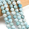 Natural Larimar Beads Strands GG-CBA007A-B01-6.5mm-1