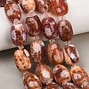 Natural Fire Crackle Agate Beads Strands G-K393-G05-13x18-1