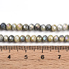 Ombre Effect Dyed Glass Beads Strands X-GLAA-C023-02-C11-A-4