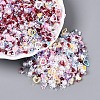 Plastic & Resin & Glass Shining Nail Art Glitter MRMJ-T080-13J-1
