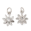 Rack Plating Brass Micro Pave Clear Cubic Zirconia Charms KK-Z026-15P-1