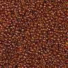 TOHO Round Seed Beads X-SEED-TR11-0303-2