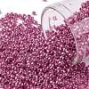 TOHO Round Seed Beads SEED-JPTR11-PF0563-1