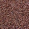 MIYUKI Delica Beads SEED-JP0008-DB1737-3