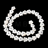 Natural Freshwater Shell Beads Strands SHEL-A006-03E-2