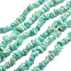 Natural Amazonite Chip Beads Strands X-G-M205-64A-1