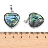 Abalone Shell/Paua Shell Pendants SSHEL-L008-03P-1-3