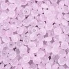 Transparent Glass Seed Beads SEED-Q041-01E-3