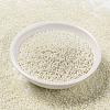 MIYUKI Round Rocailles Beads SEED-JP0010-RR0421-2