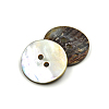 Abalone Shell/Paua Shell X-BSHE-I011-04A-2