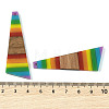 Pride Rainbow Theme Resin & Walnut Wood Pendants WOOD-K012-08A-3