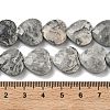 Natural Map Stone Beads Strands G-A309-A17-01-4