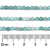 Natural Amazonite Beads Strands G-H003-D09-01-4