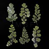 6Pcs Plant PET Adhesive Waterproof Stickers DIY-K074-01A-3