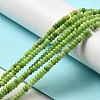 Natural Dolomite Beads Strands LS-G-K350-A01-01I-2