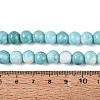 Opaque Ombre Effect Dyed Glass Beads Strands GLAA-Q106-04A-08-4