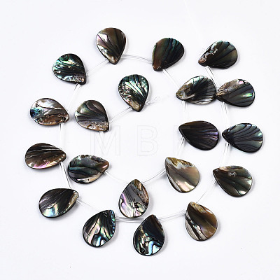 Natural Paua Shell/Abalone Shell Beads Strands SSHEL-Q312-001-1