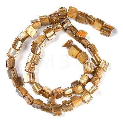 Dyed Natural Freshwater Shell Beads Strands SHEL-P016-01A-1