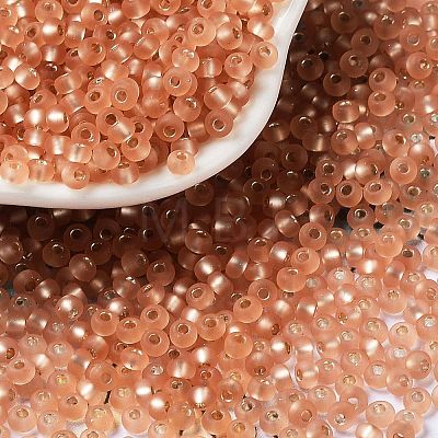 8/0 Glass Seed Beads SEED-Z001-C-E10-1