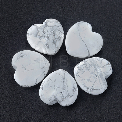 Natural Howlite Healing Stones PW-WGA91AE-09-1