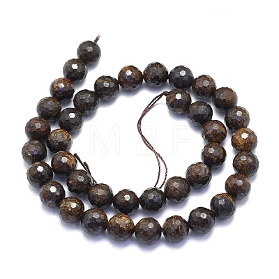 Natural Bronzite Beads Strands G-K310-A13-10mm-1
