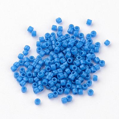 Baking Paint Cylinder Seed Beads SEED-R041-10-1