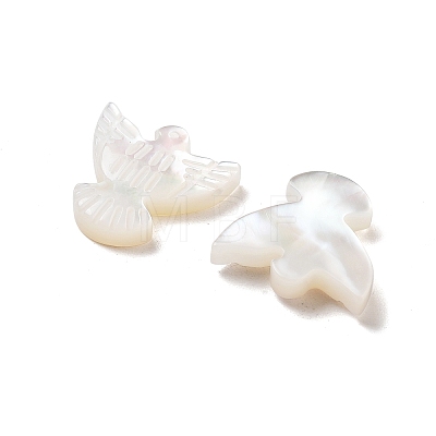 Natural Shell Beads BSHE-H017-02-1