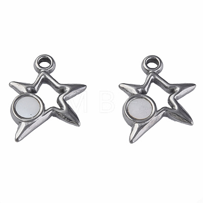 304 Stainless Steel Charms STAS-N087-51-05P-1
