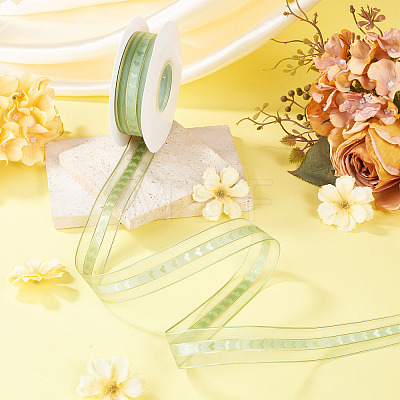 Polyester Lace Ribbon OCOR-TADJ0001-07B-1