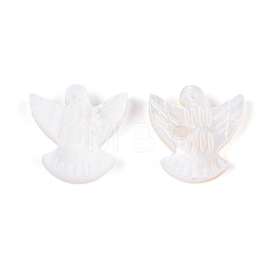 Natural Freshwater Shell Beads BSHE-T014-35-1