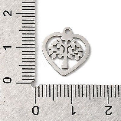 201 Stainless Steel Charms STAS-E206-06P-04-1