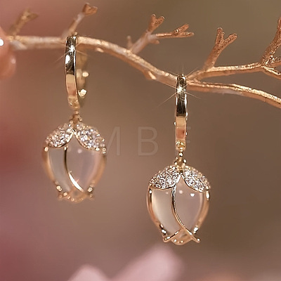 Alloy Clear Cubic Zirconia Dangle Earrings FS-WGAEA82-01-1