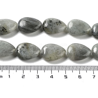 Natural Labradorite Beads Strands G-L242-35-1