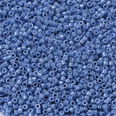 MIYUKI Delica Beads X-SEED-J020-DB0266-1