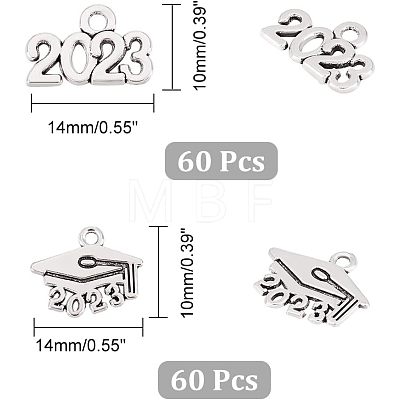 120Pcs 2 Style Tibetan Style Alloy Charms FIND-CA0006-06-1