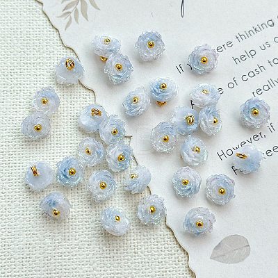 Two Tone Transparent Resin Charms LS-RESI-CJC0023-19B-1