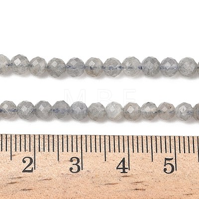 Natural Labradorite Beads Strands G-L642-F07-4mm-1