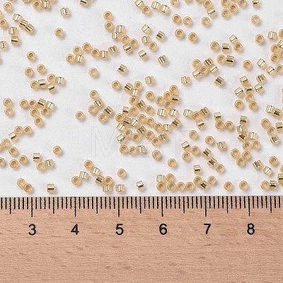 Cylinder Seed Beads SEED-H001-G04-1